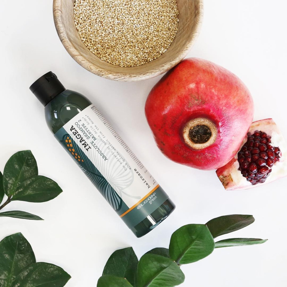 Shampoo Absolute Cabello Tinturado 250ml Imagea