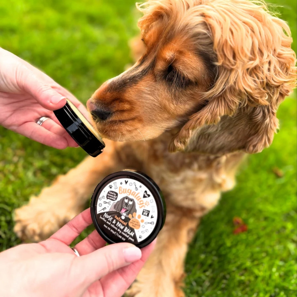 Bálsamo Mascotas Protector Para Patas y Nariz Bugalugs