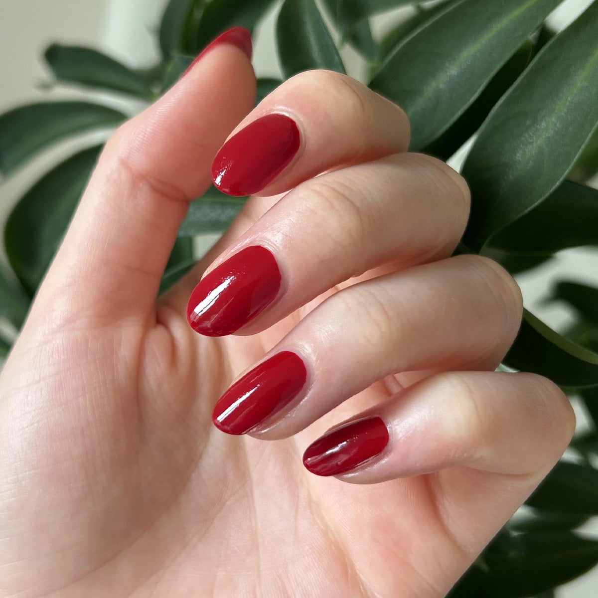 Esmalte Tradicional Premium Rojos & Tierras 18ml Orly