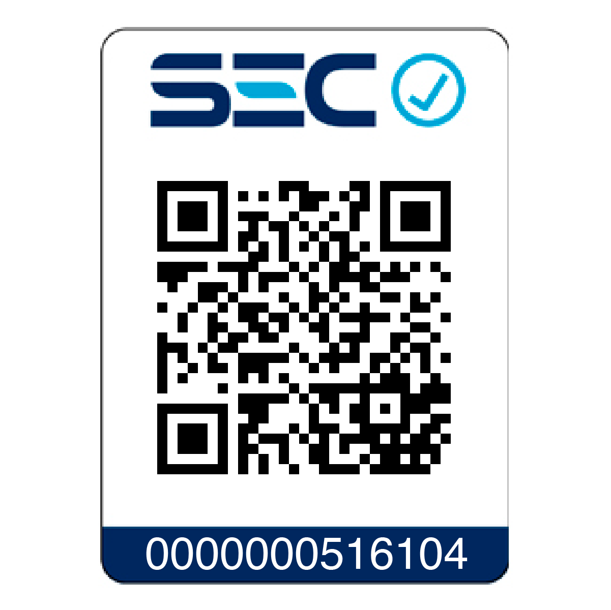 Secadora Profesional Xcell S Gold Rose Gamma Piu