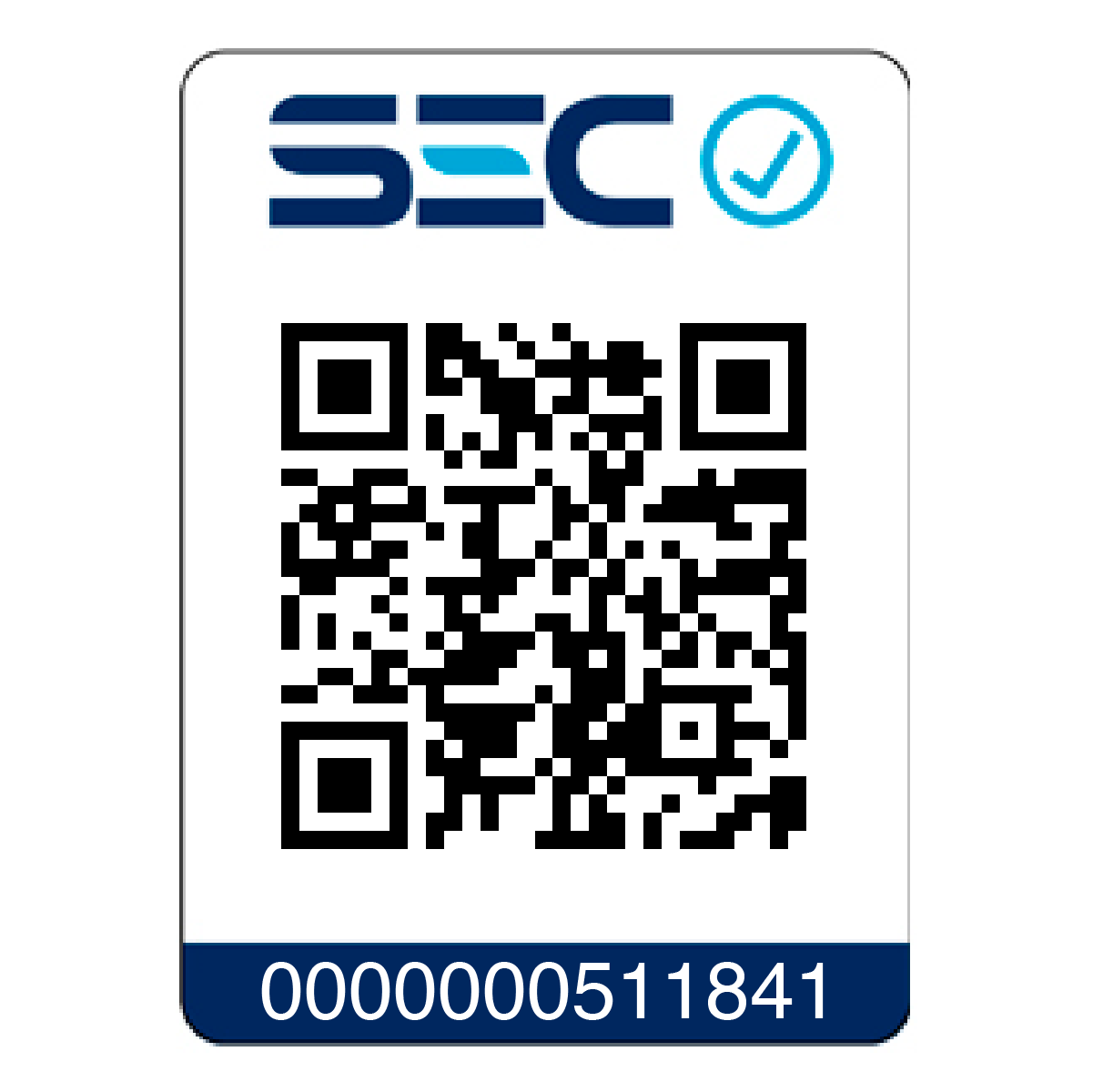 Secador De Mano 3000A Pichara Pet