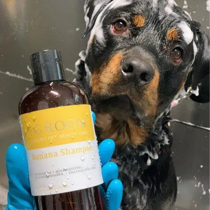 Shampoo Mascotas Hidratante Banana Igroom