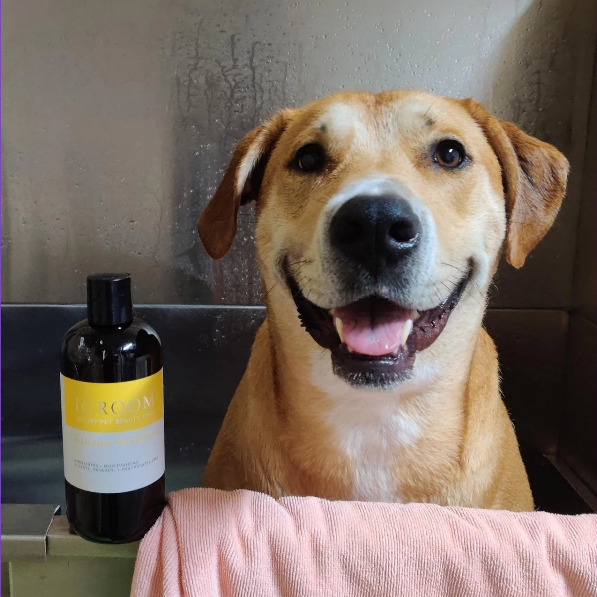 Shampoo Mascotas Hidratante Banana Igroom