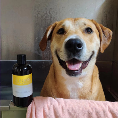 Shampoo Mascotas Hidratante Banana Igroom