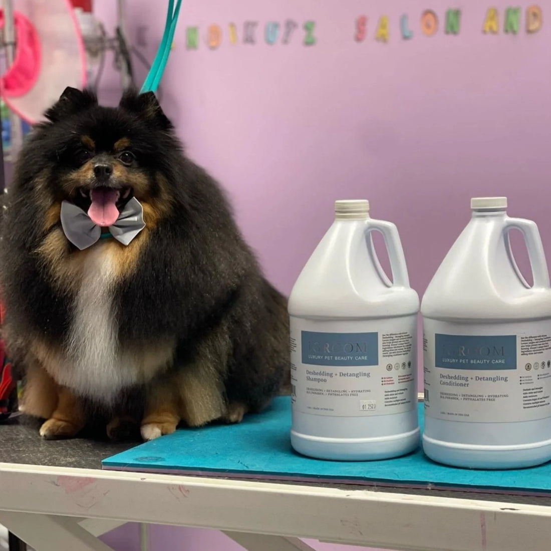 Acondicionador Mascotas Desenredante Igroom