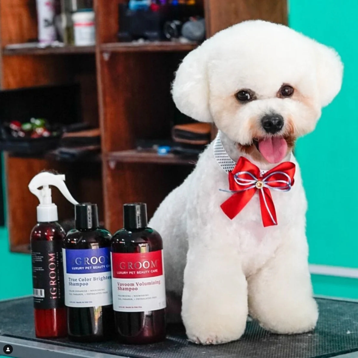 Spray Acondicionador Mascotas 3 En 1 Igroom