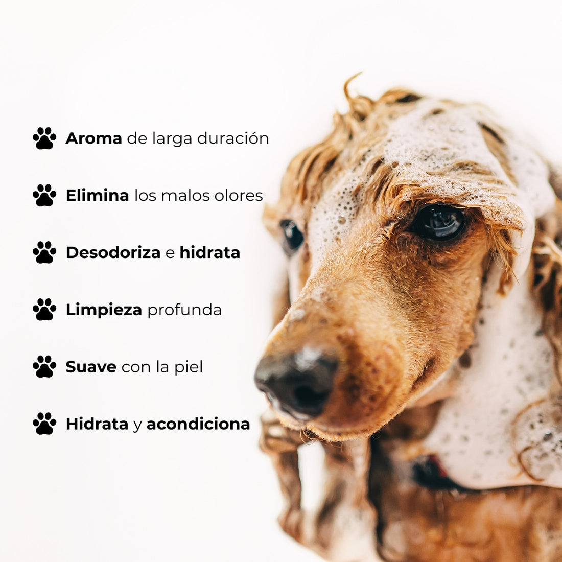 Shampoo Mascotas Suave Baby Fresh Bugalugs